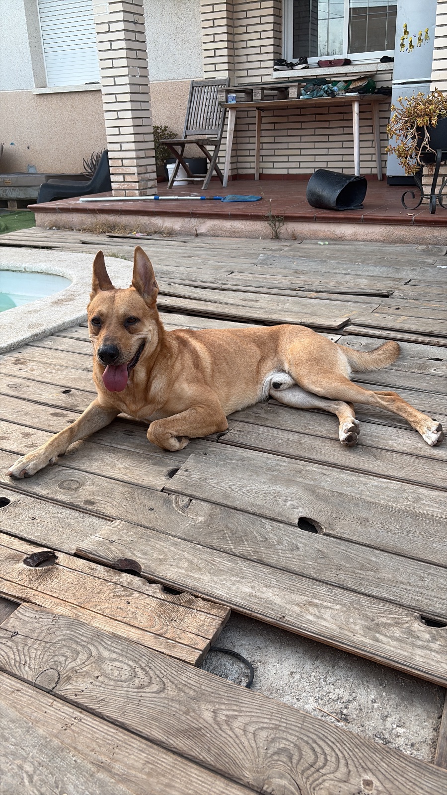 Foto de Jack
