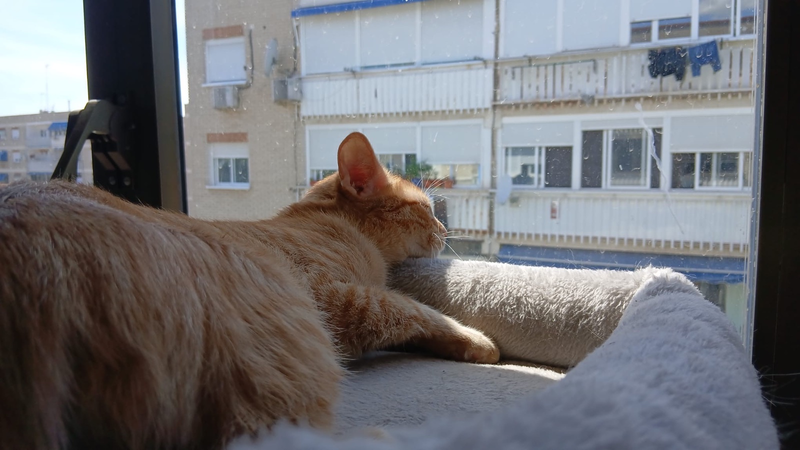 Durmiendo