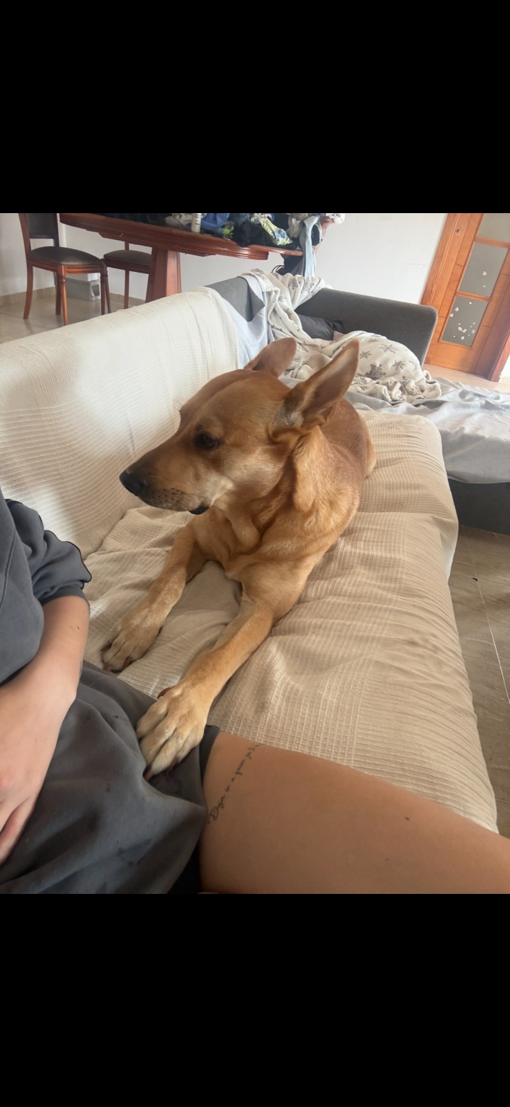 Foto de Jack