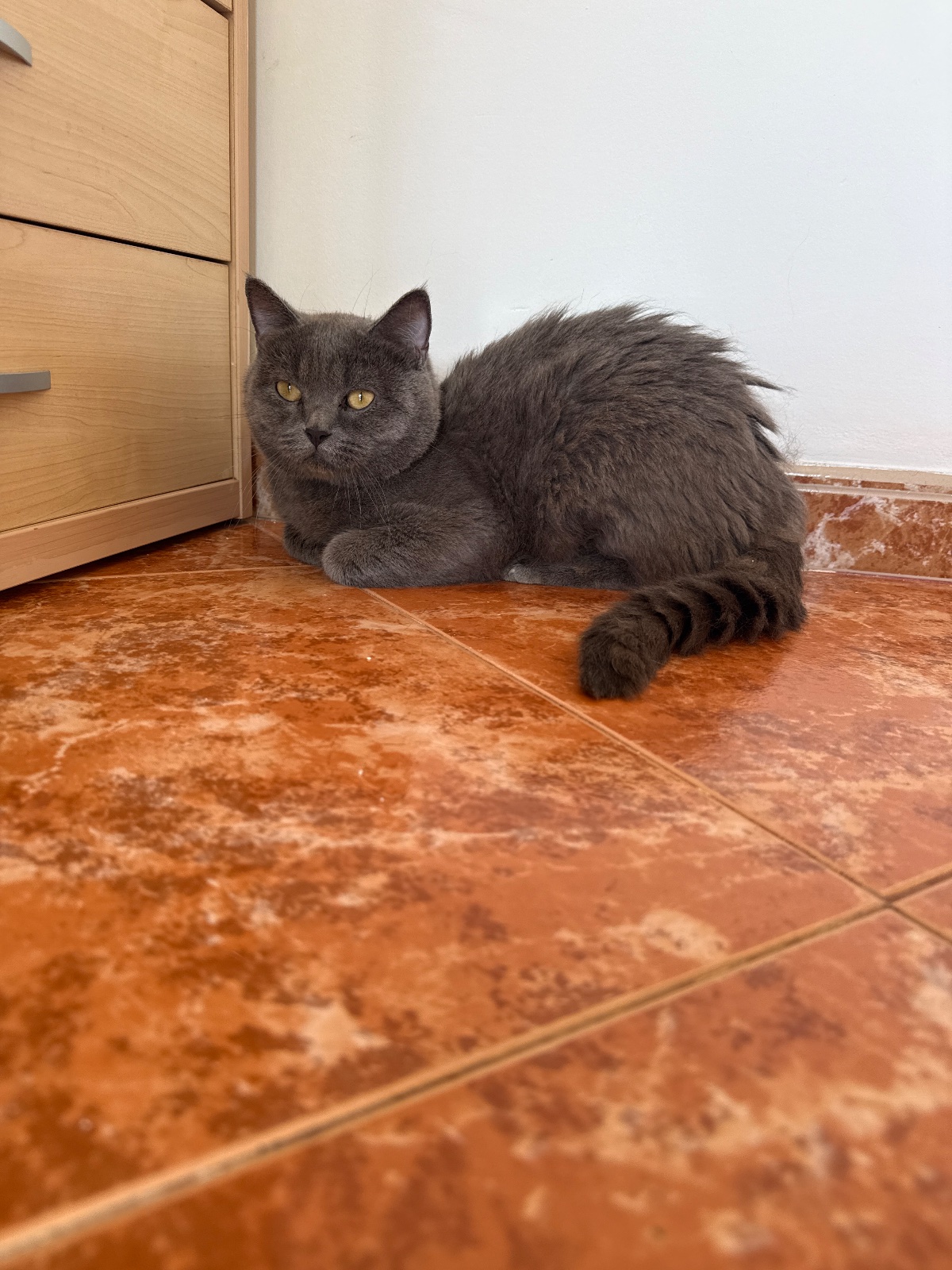 Foto de Thunder