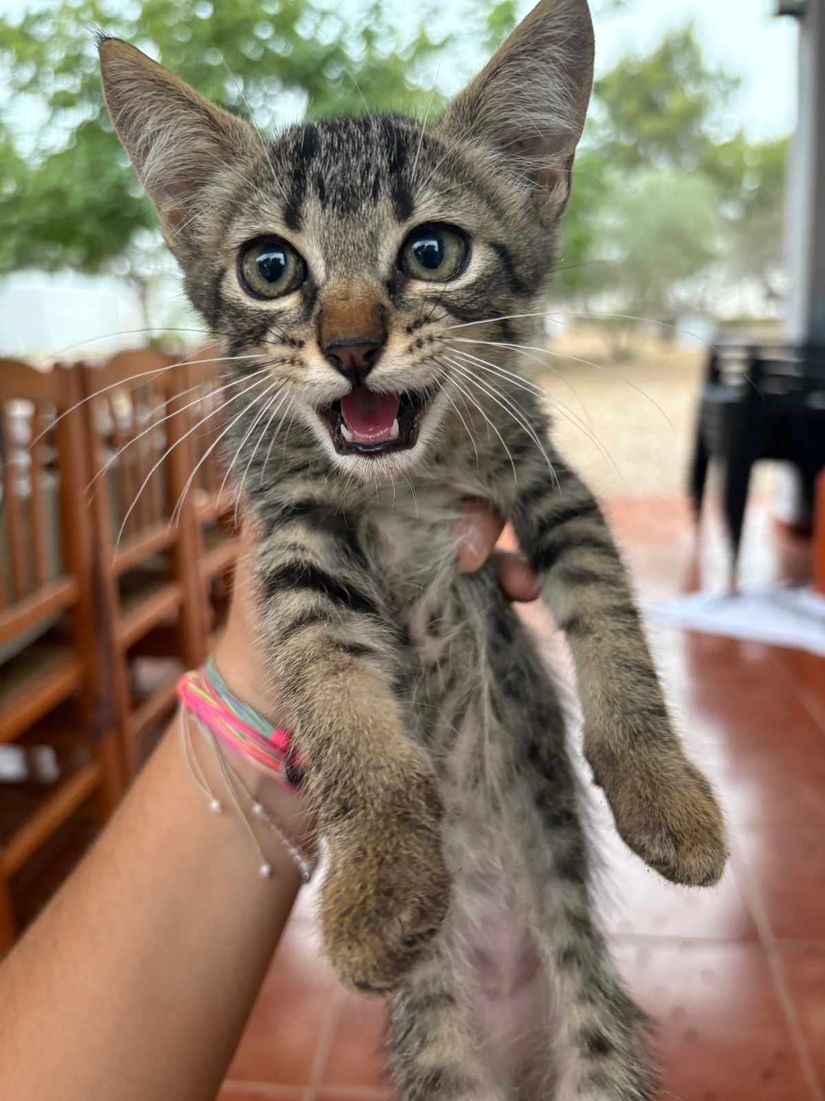 Foto de Pepa