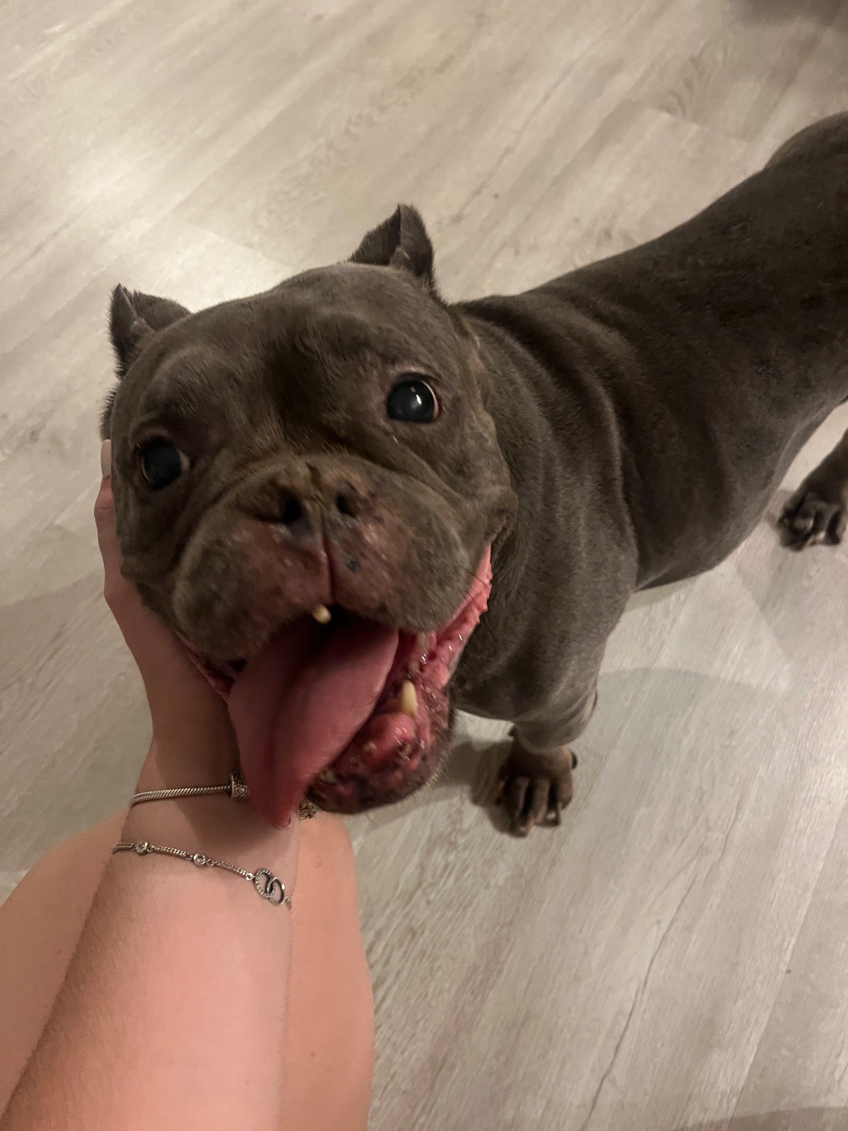 Foto de Croqueta