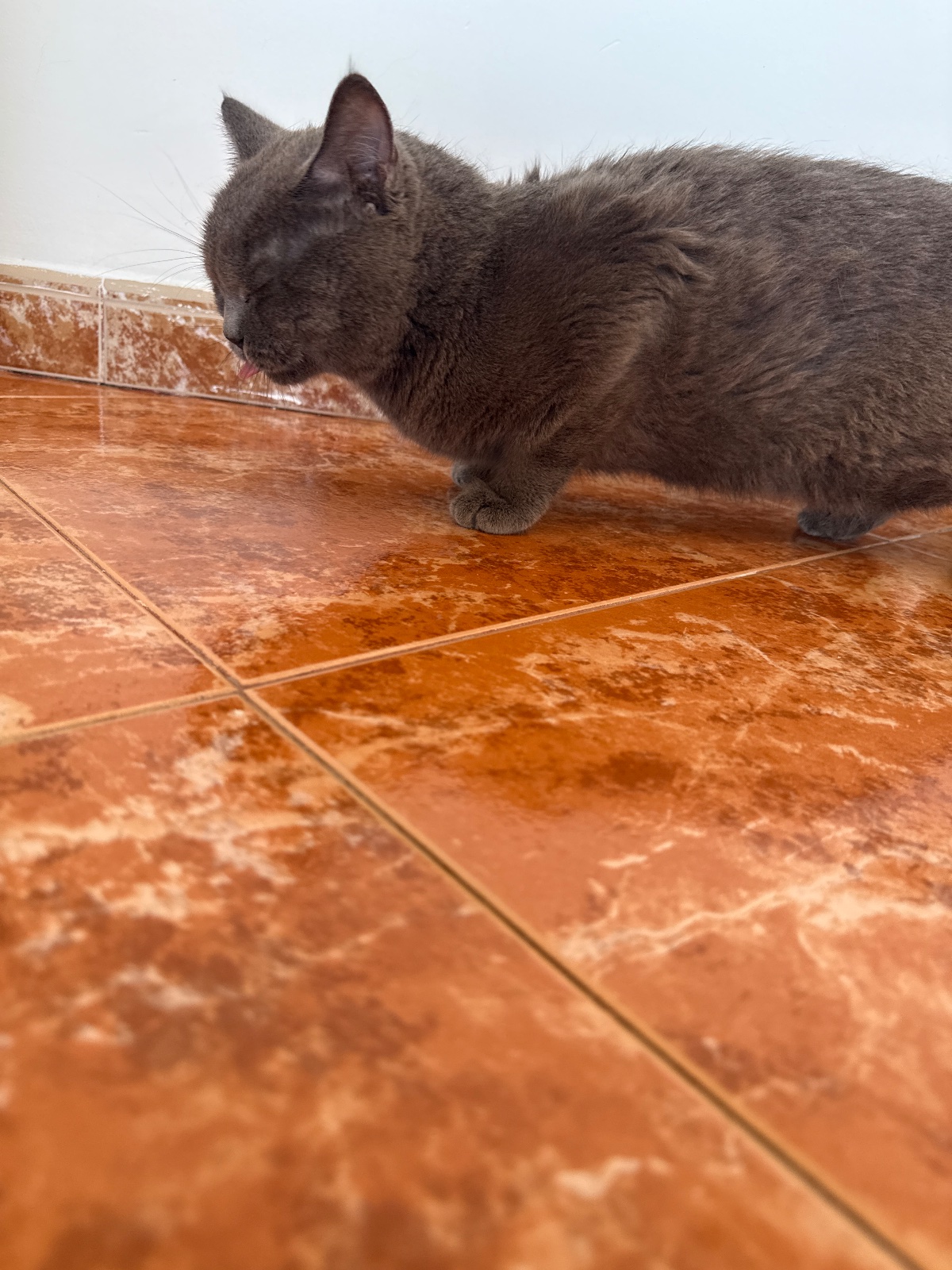 Foto de Thunder