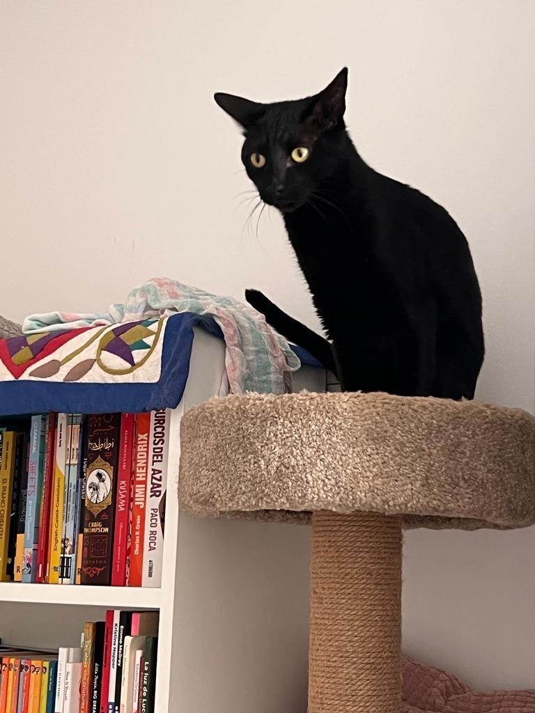 Foto de Manolo