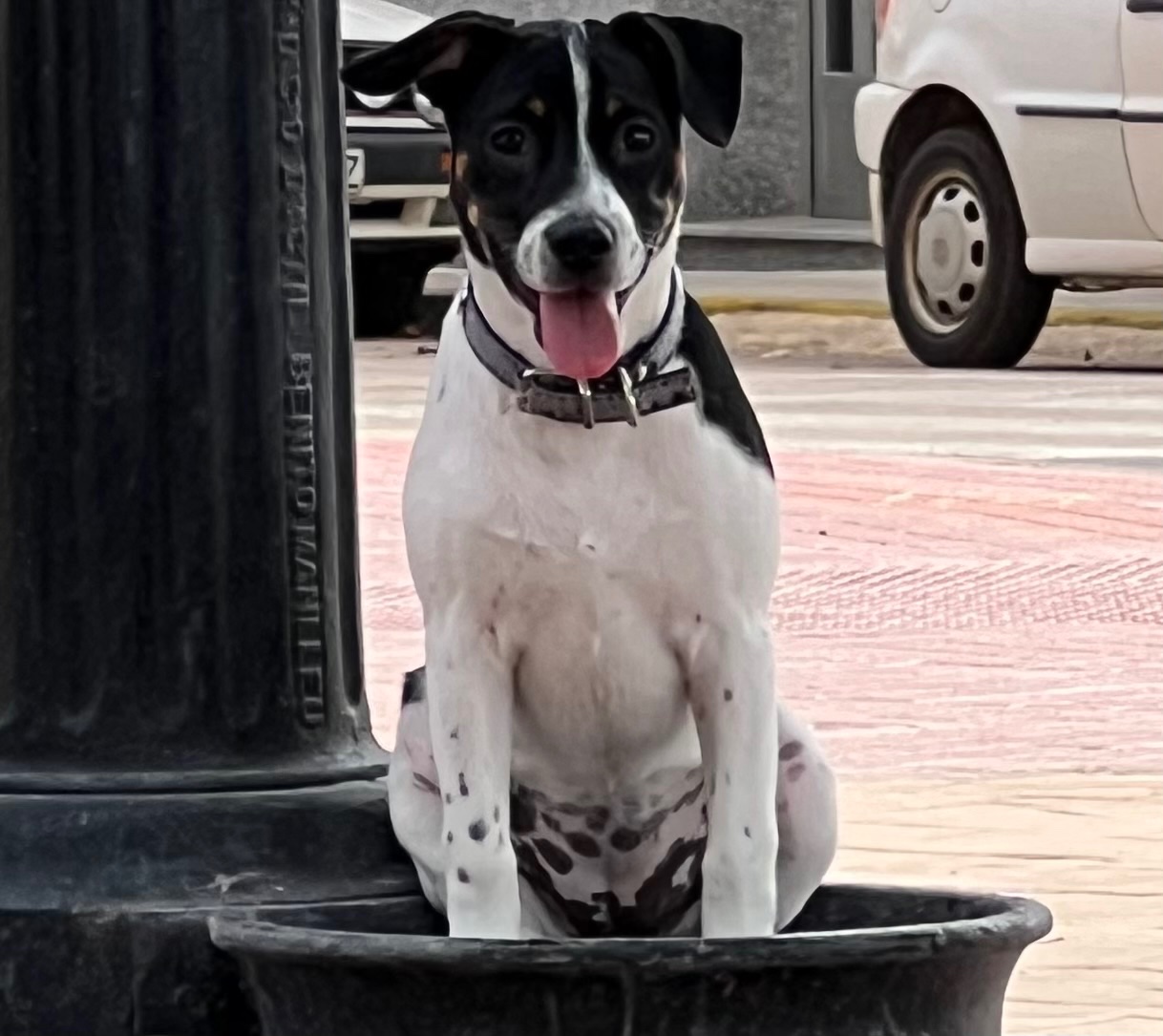 Foto de Perla