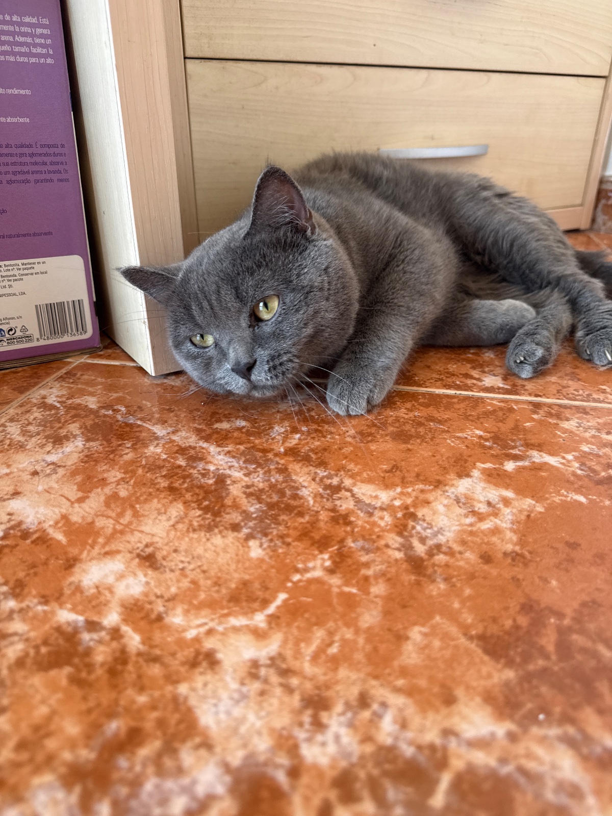 Foto de Thunder