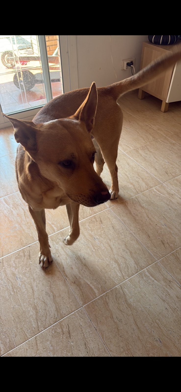 Foto de Jack