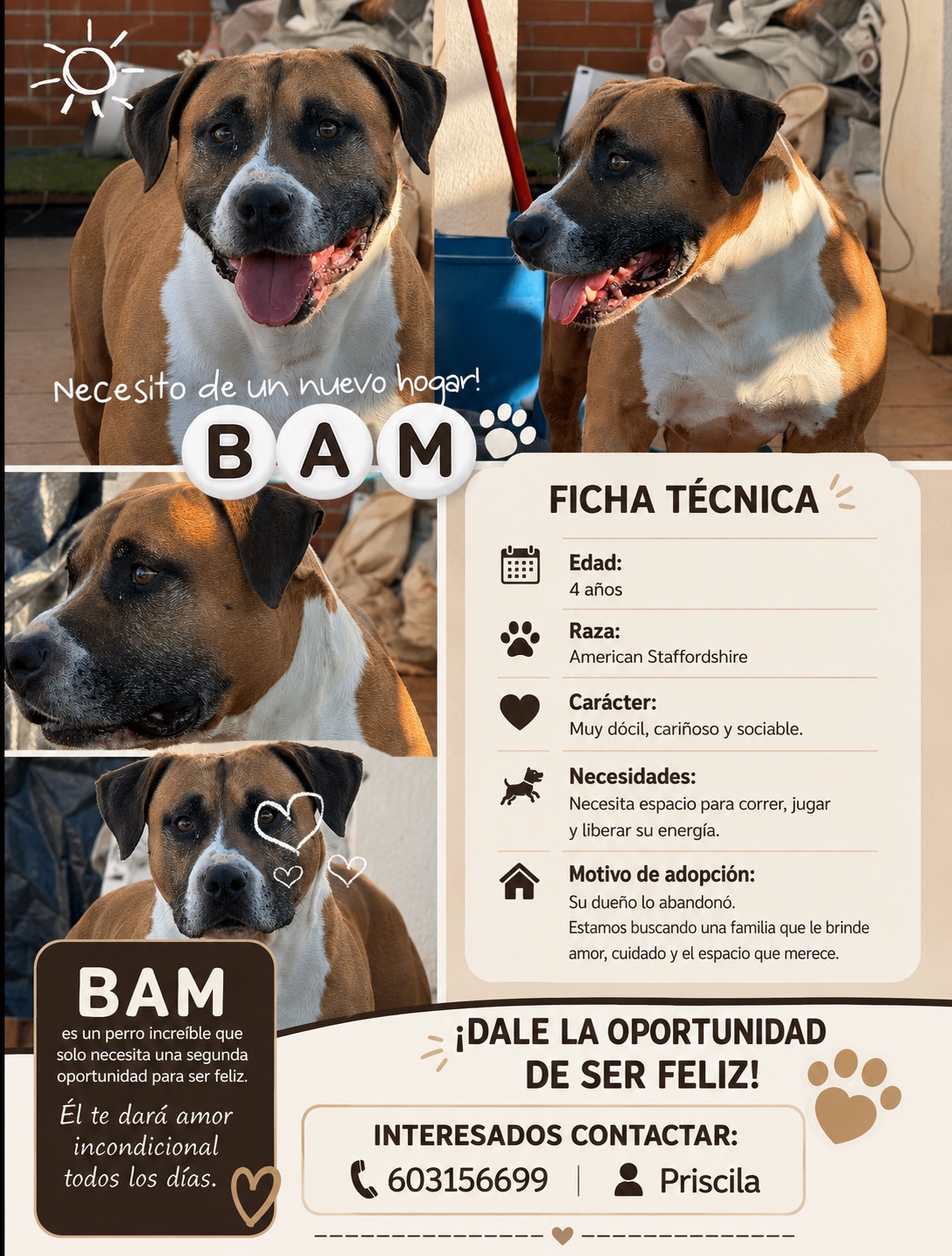 Perro marrón y blanco
