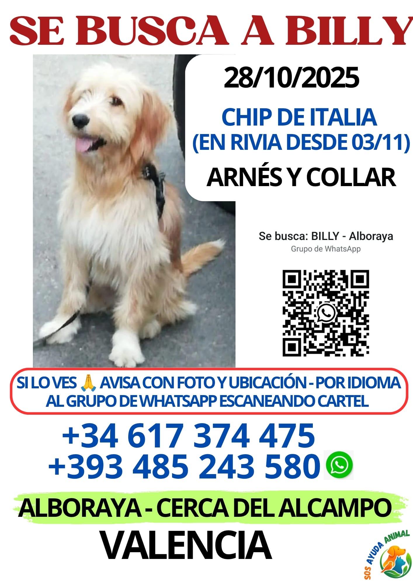 Imagen de la publicación de Adopta Una Vida