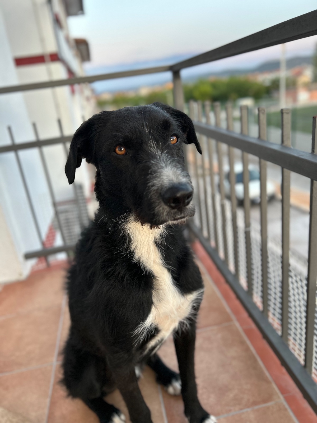 Imagen de la publicación de Dani_1805