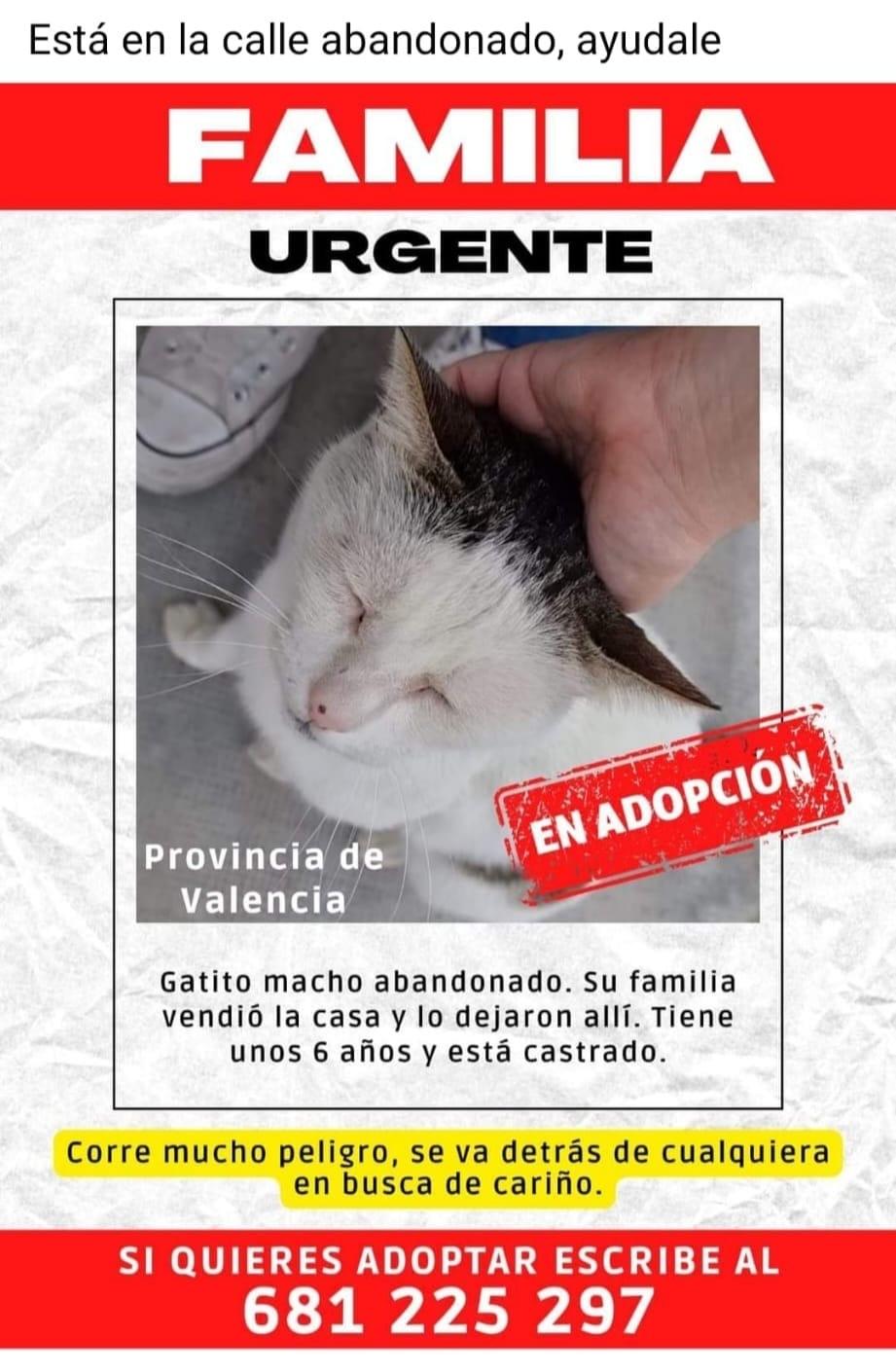 Imagen de la publicación de Adopta Una Vida
