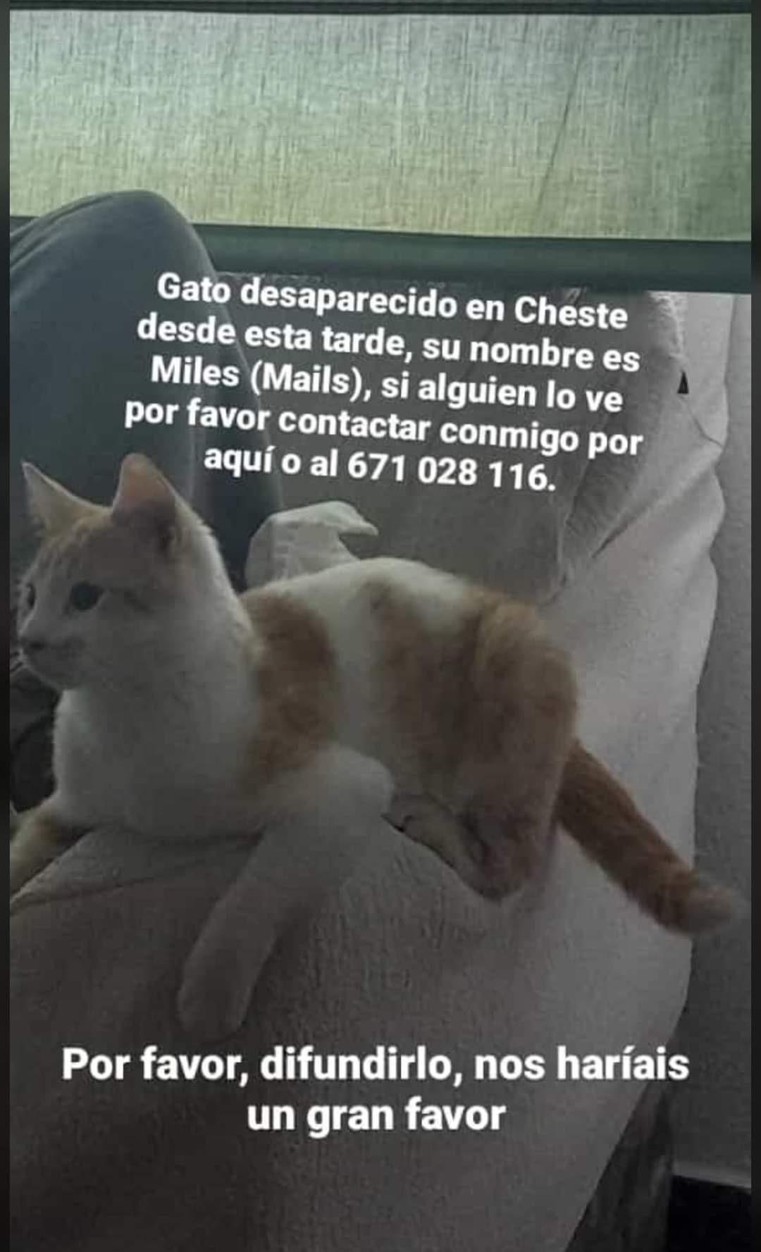 Imagen de la publicación de Adopta Una Vida