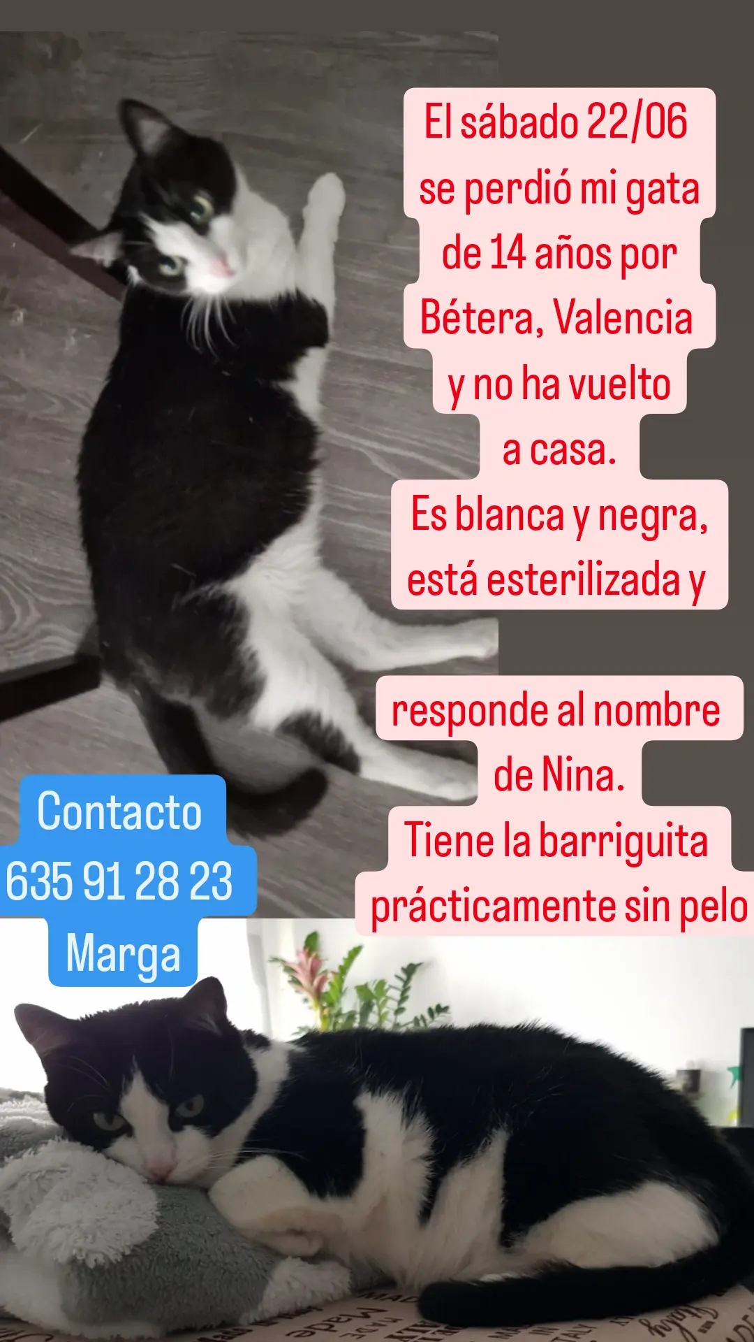 Imagen de la publicación de Mymi