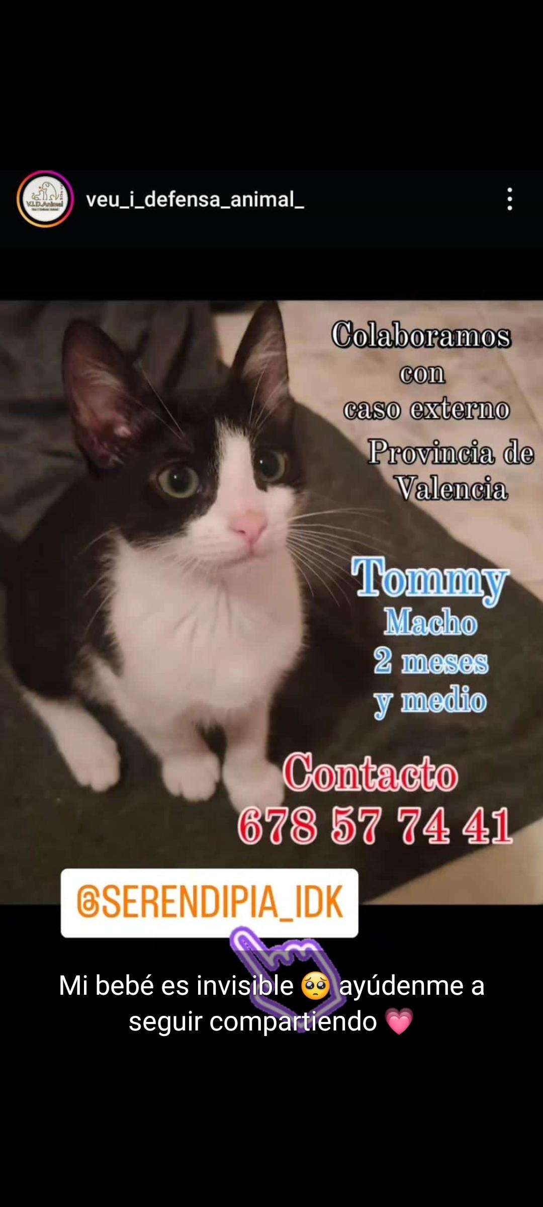 Imagen de la publicación de Mymi