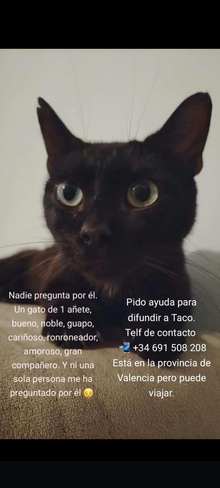 Imagen de la publicación de Adopta Una Vida