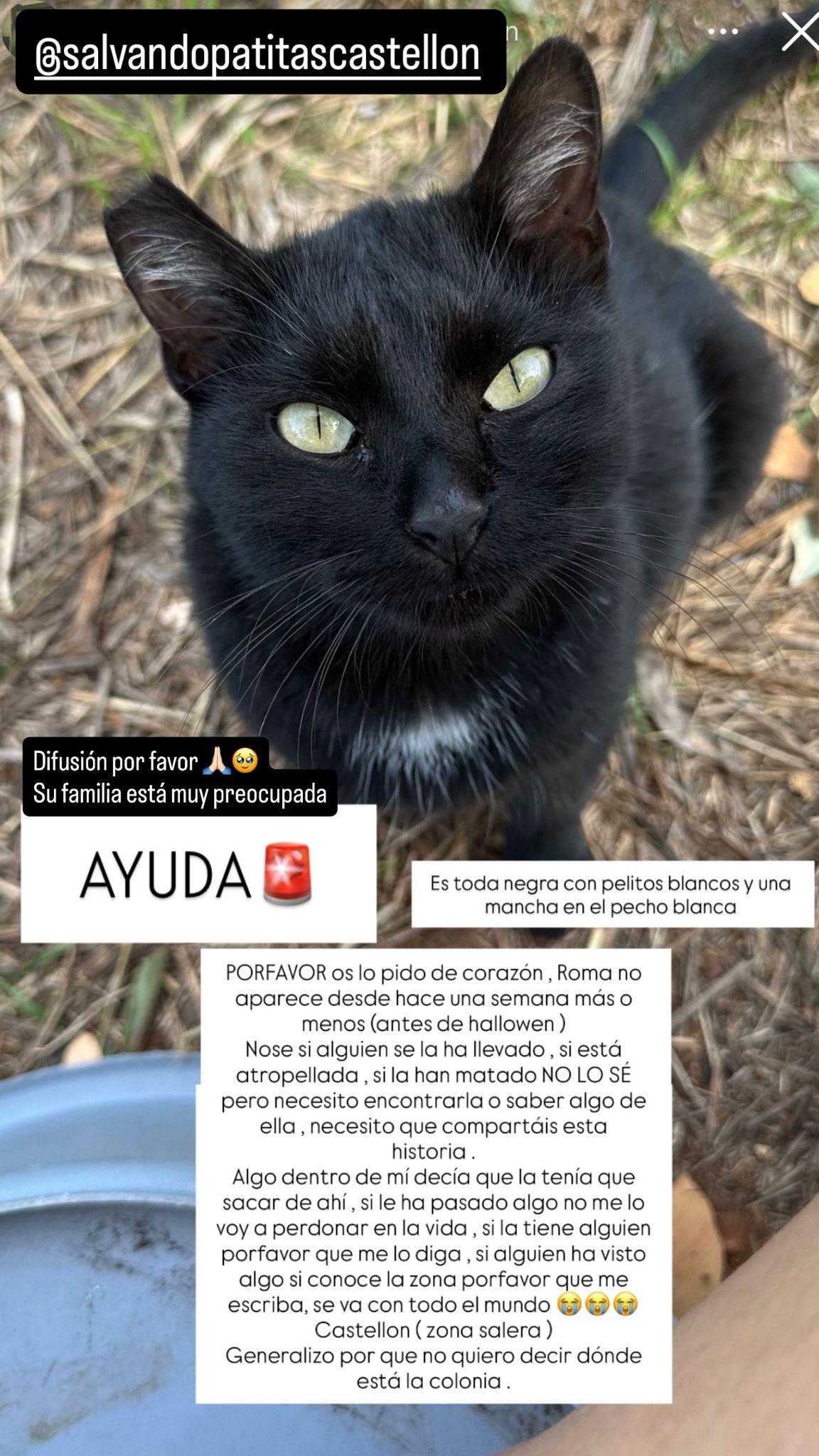 Imagen de la publicación de Adopta Una Vida