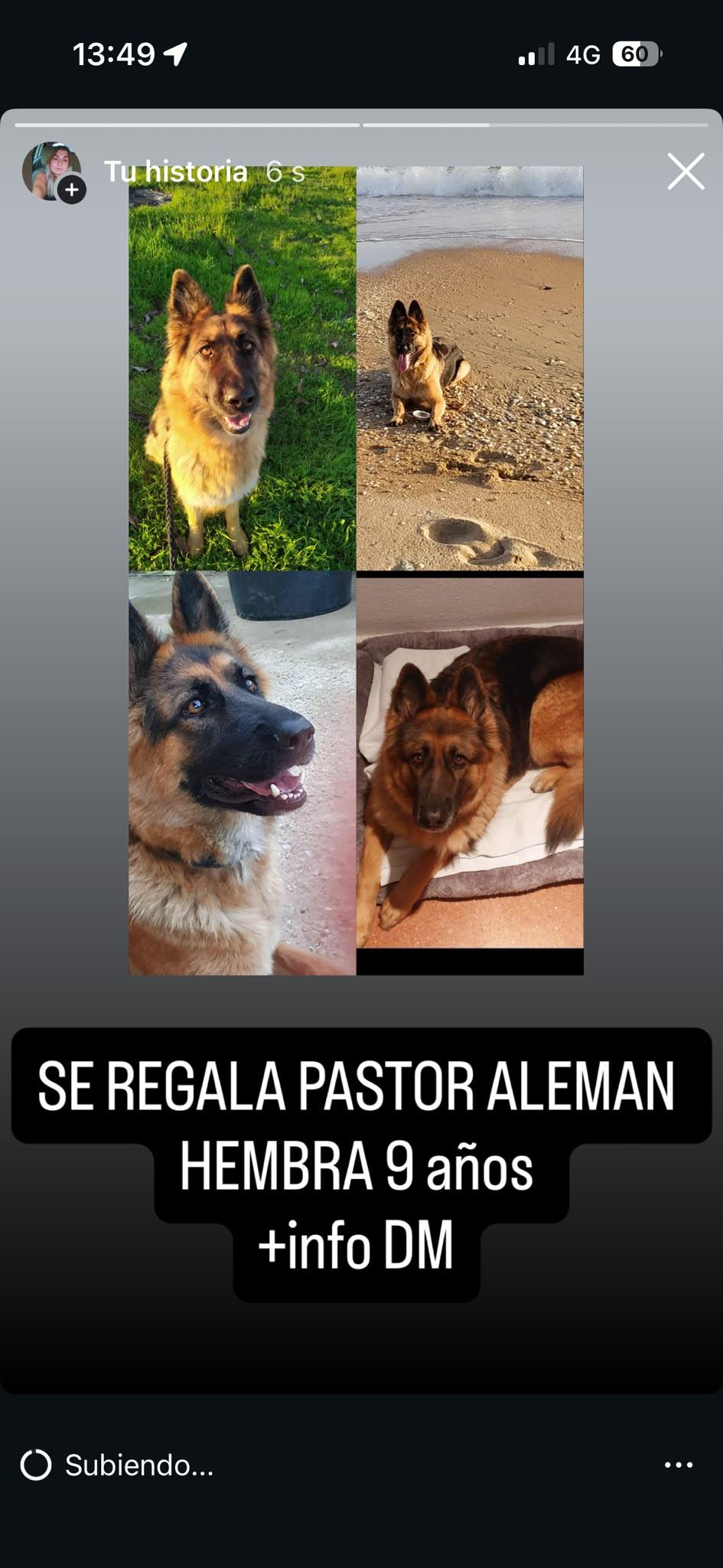 Imagen de la publicación de Jonatan Oviedo Benitez