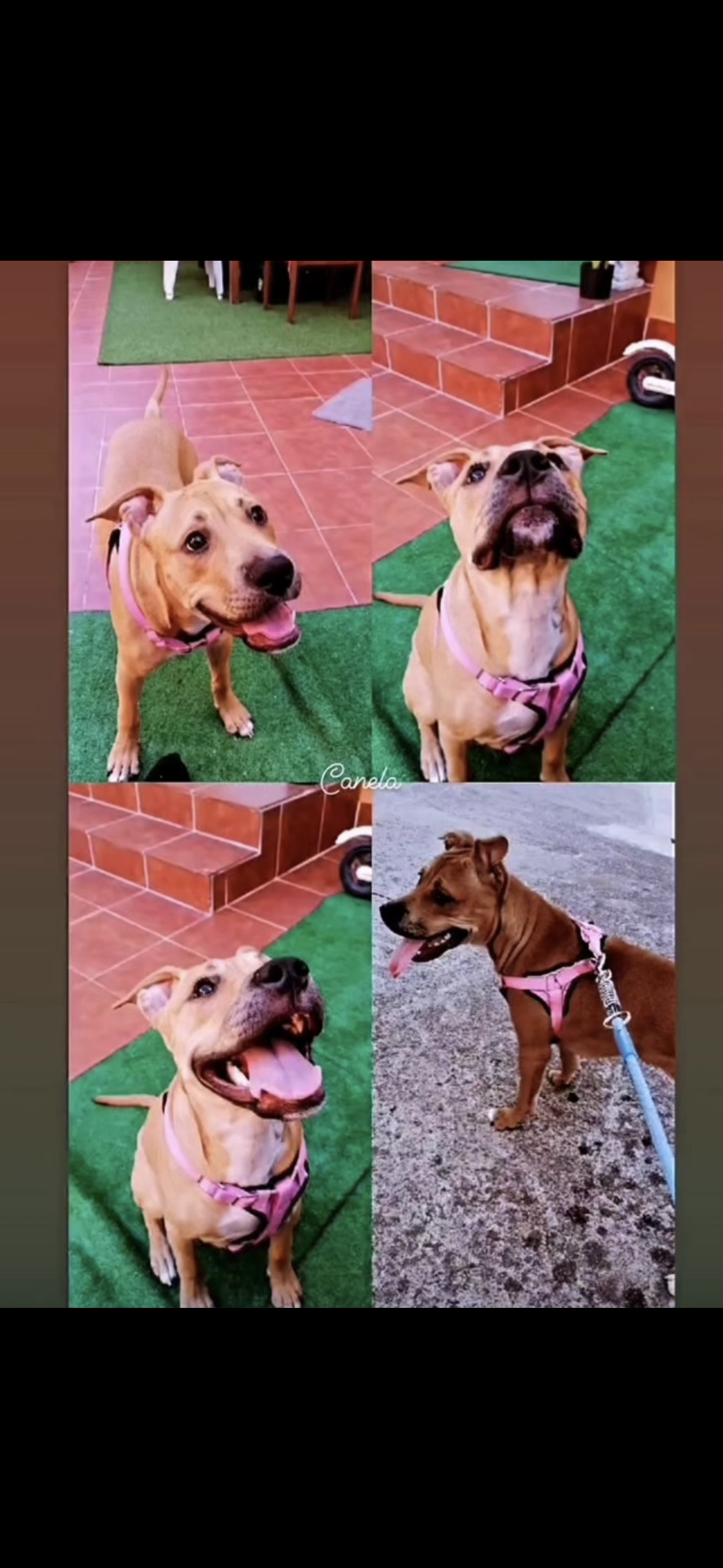 Imagen de la publicación de Myaheredia Gutiérrez
