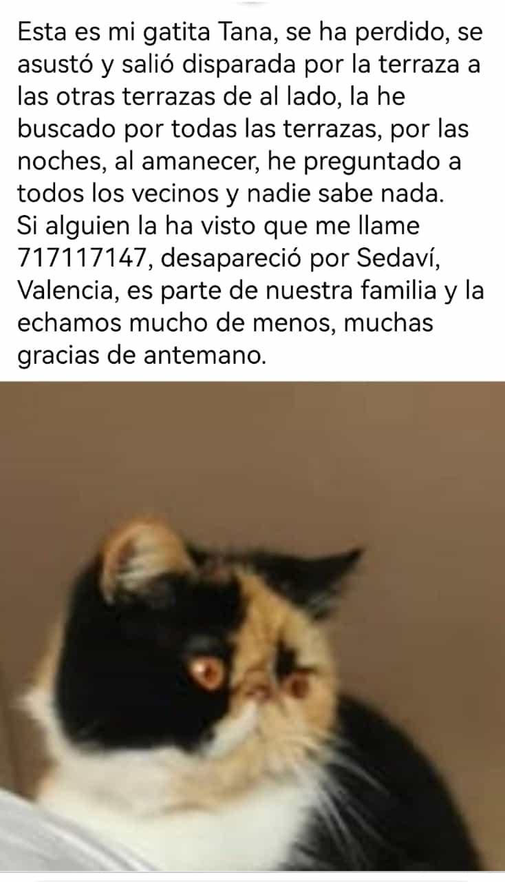 Imagen de la publicación de Adopta Una Vida