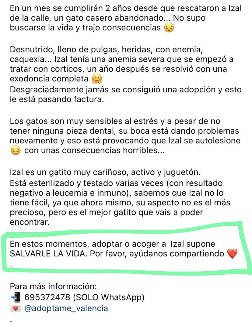 Imagen de la publicación de Adopta Una Vida