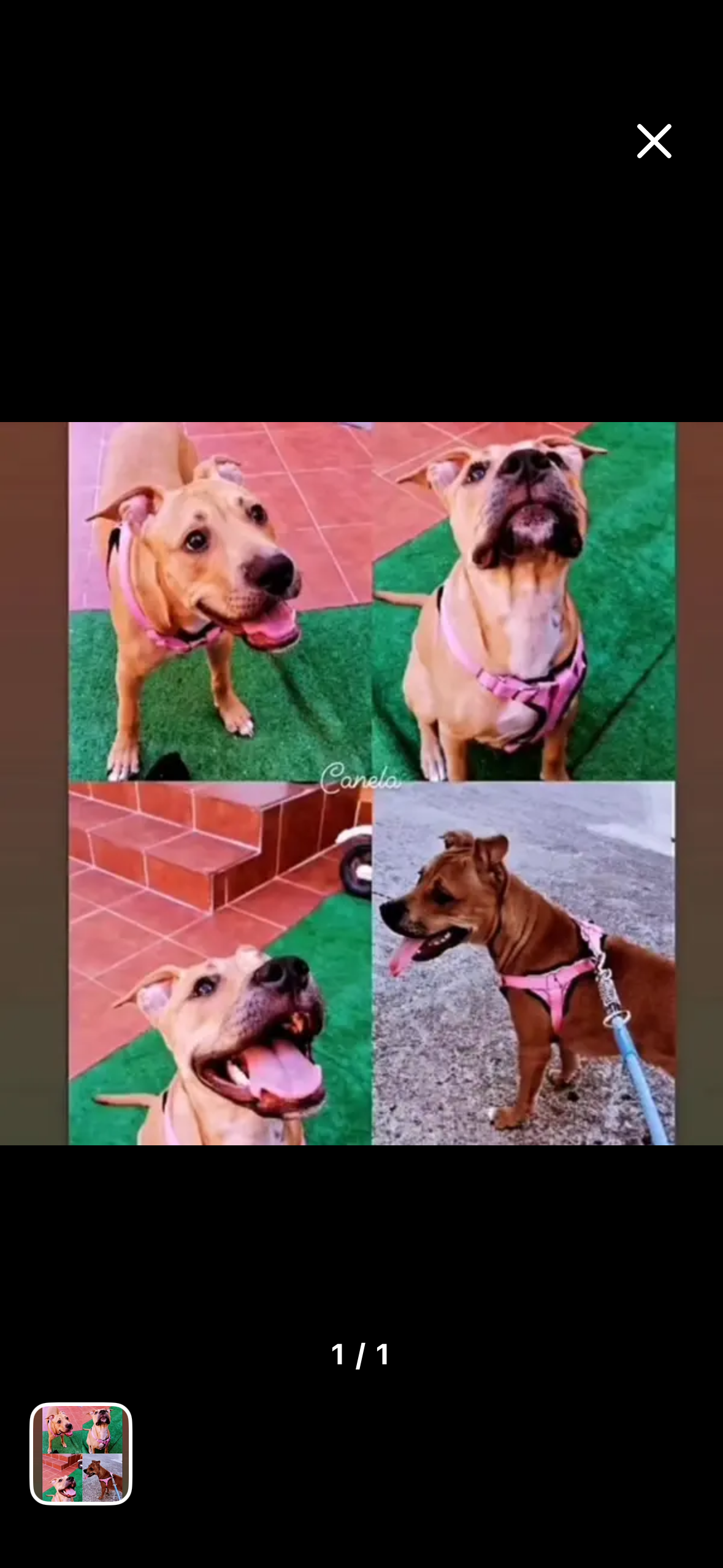 Imagen de la publicación de Myaheredia Gutiérrez
