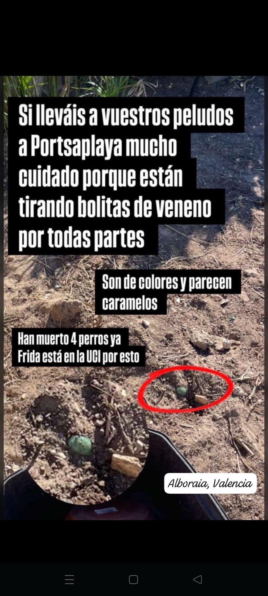 Imagen de la publicación de Adopta Una Vida