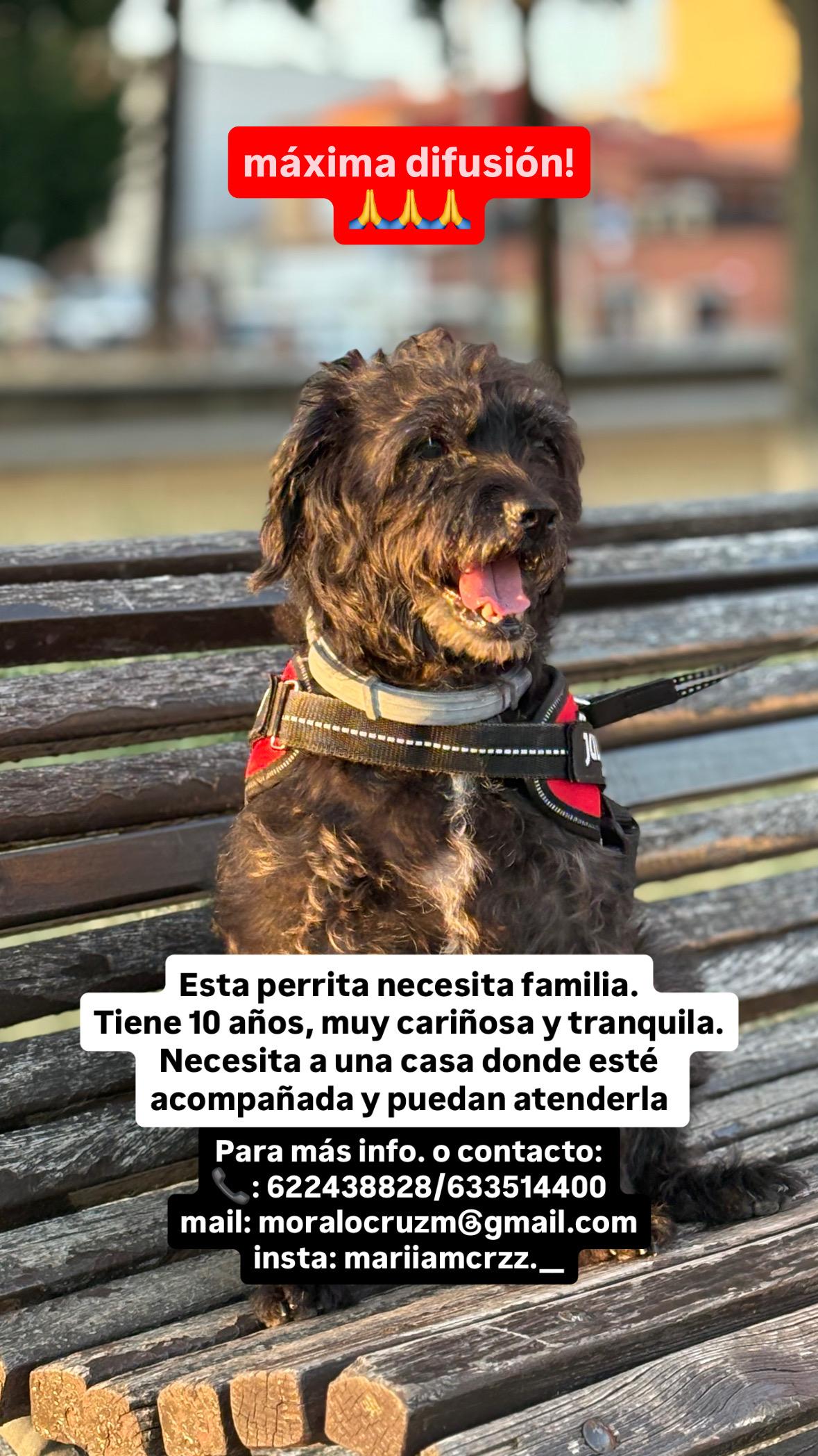 Imagen de la publicación de mariamoralocruz