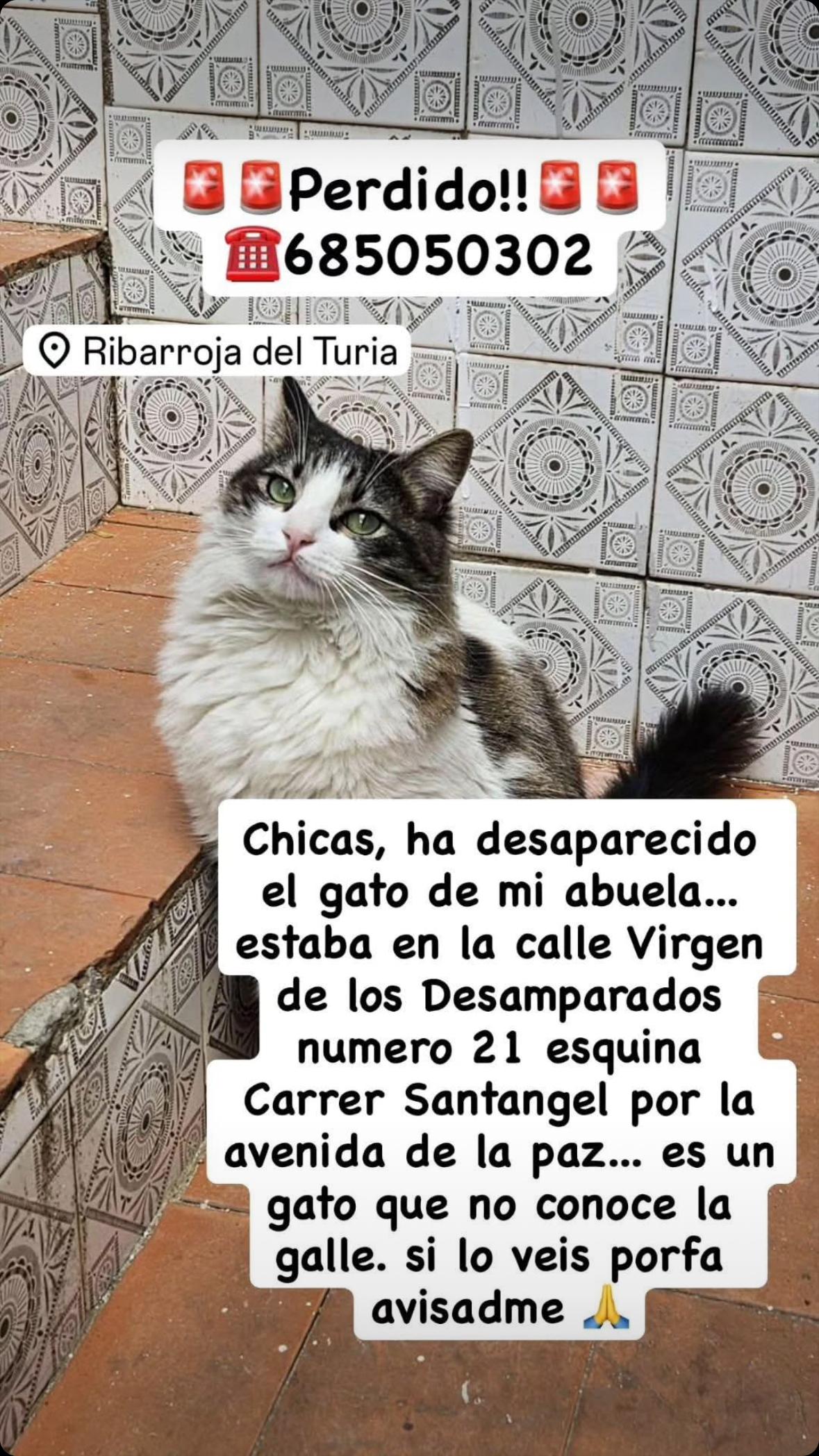 Imagen de la publicación de Adopta Una Vida